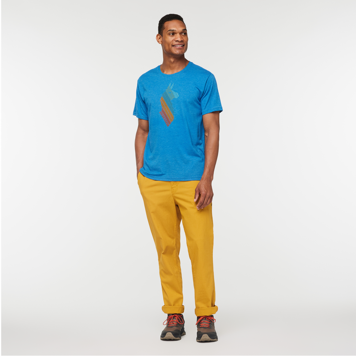 Llama Stripes T Shirt Men's - Image 2
