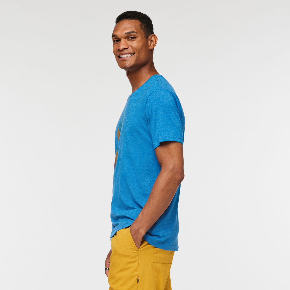 Llama Stripes T Shirt Men's - Image 3