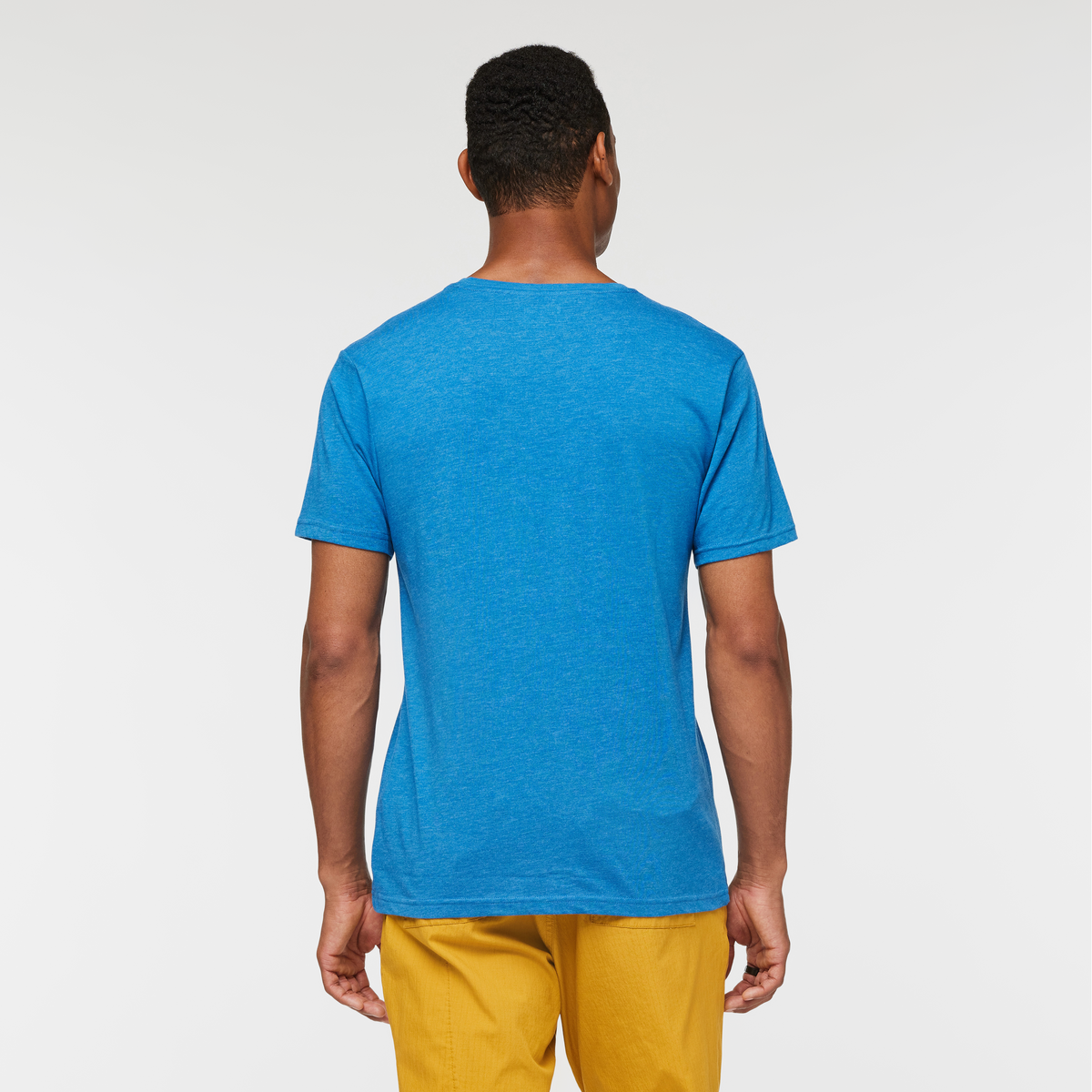 Llama Stripes T Shirt Men's - Image 4