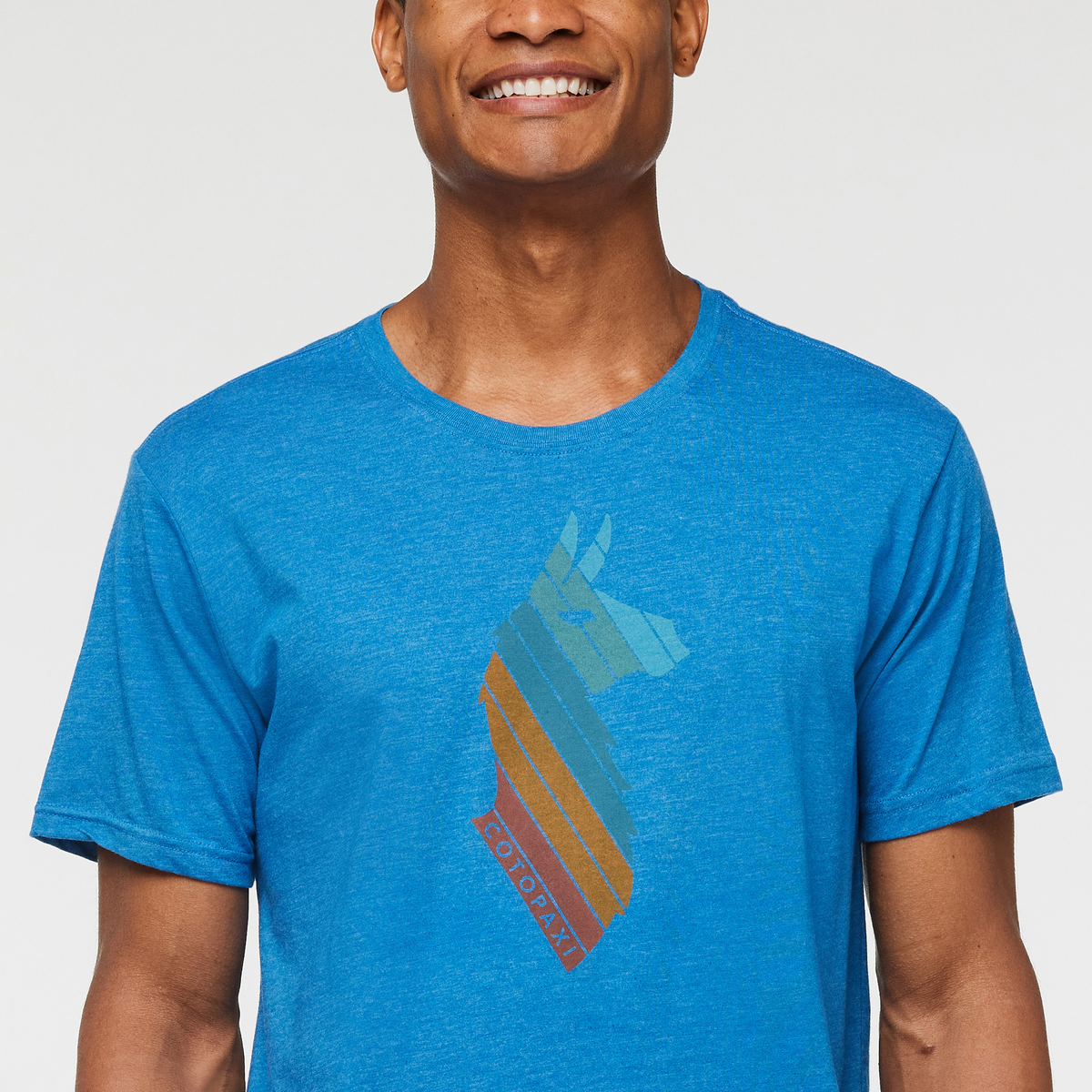 Llama Stripes T Shirt Men's - Image 5