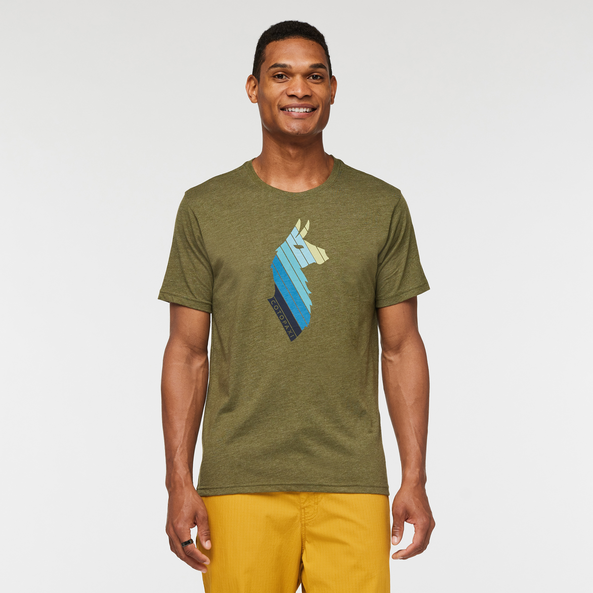 Llama Stripes T Shirt Men's - Image 6