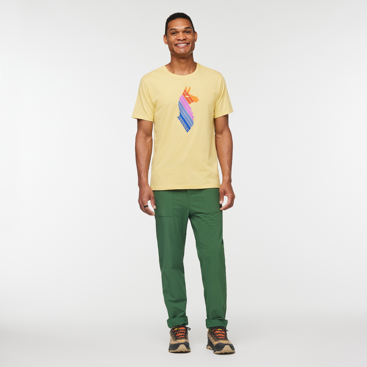 Llama Stripes T Shirt Men's - Image 12