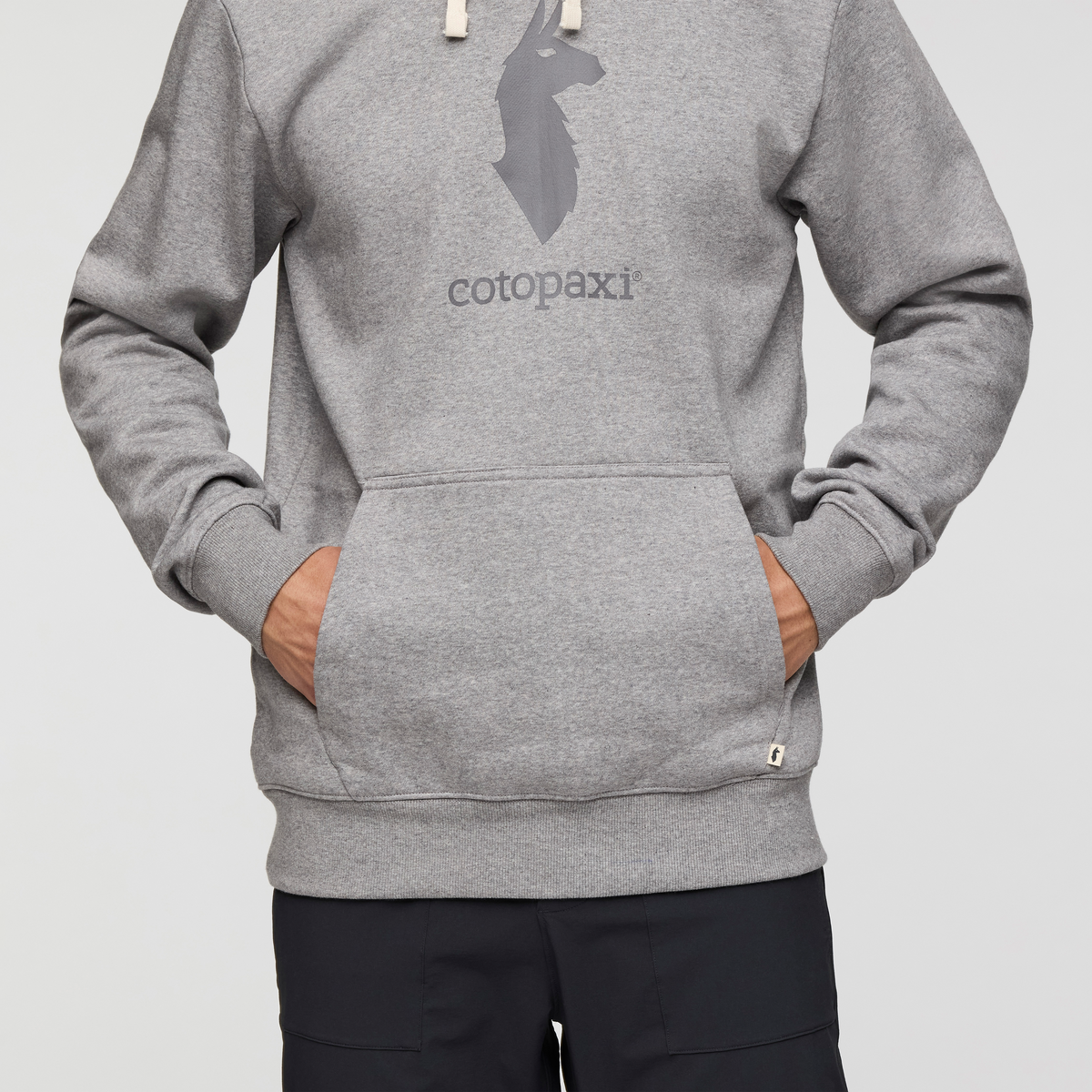 Cotopaxi Llama Pullover Hoodie Men's - Image 6