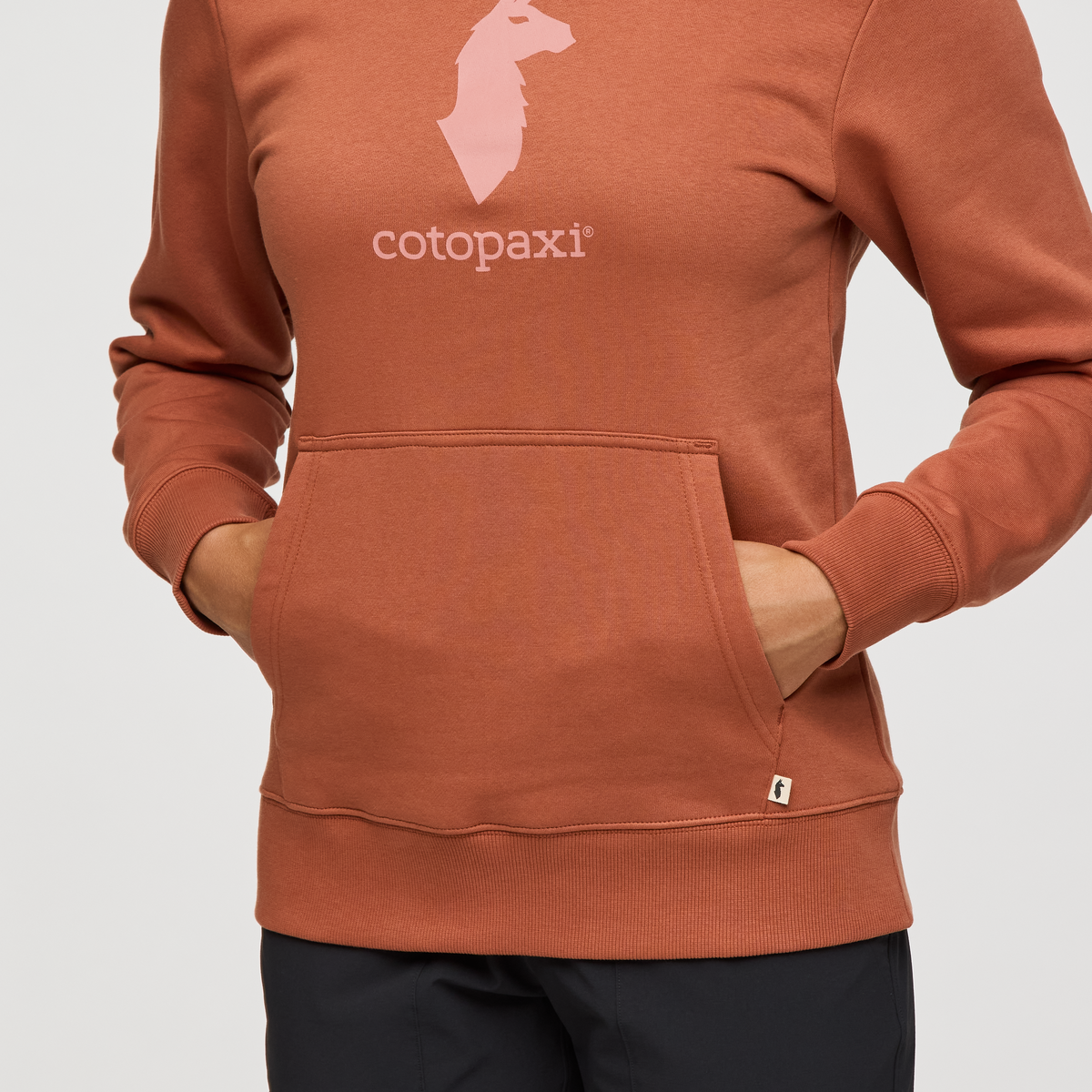 Cotopaxi Llama Pullover Hoodie Women's - Image 6