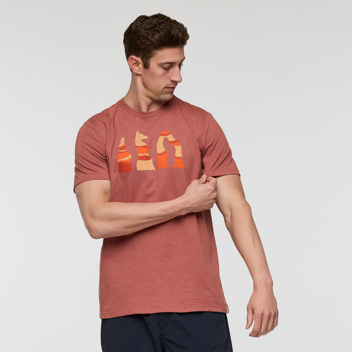 Llama Hoodoo T Shirt Men's