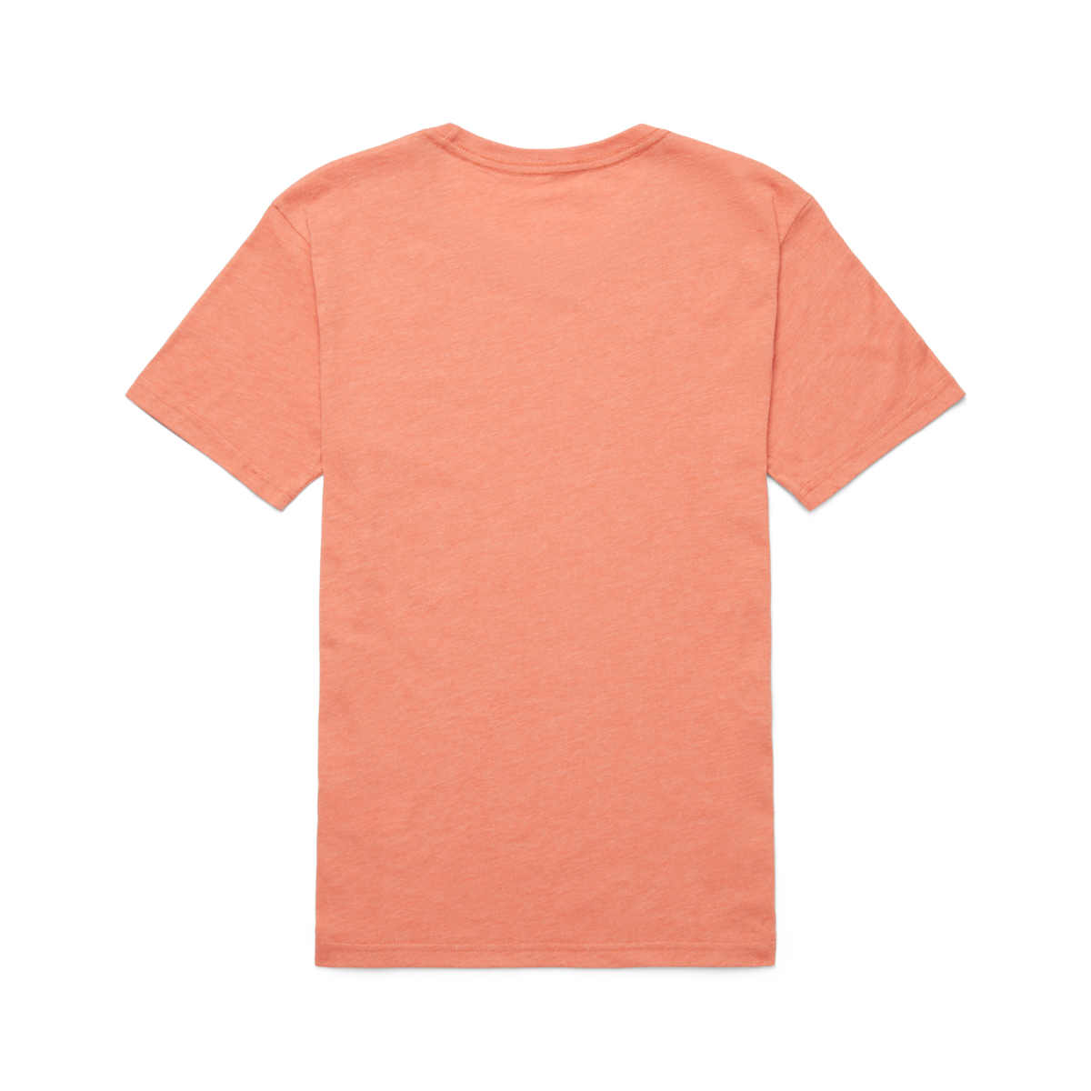 Topo Llama T Shirt Women's - Image 18