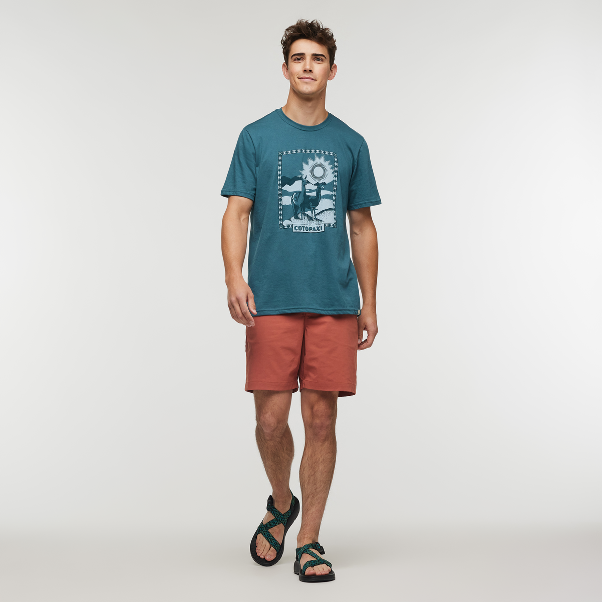 Llama Greetings T Shirt Men's - Image 2