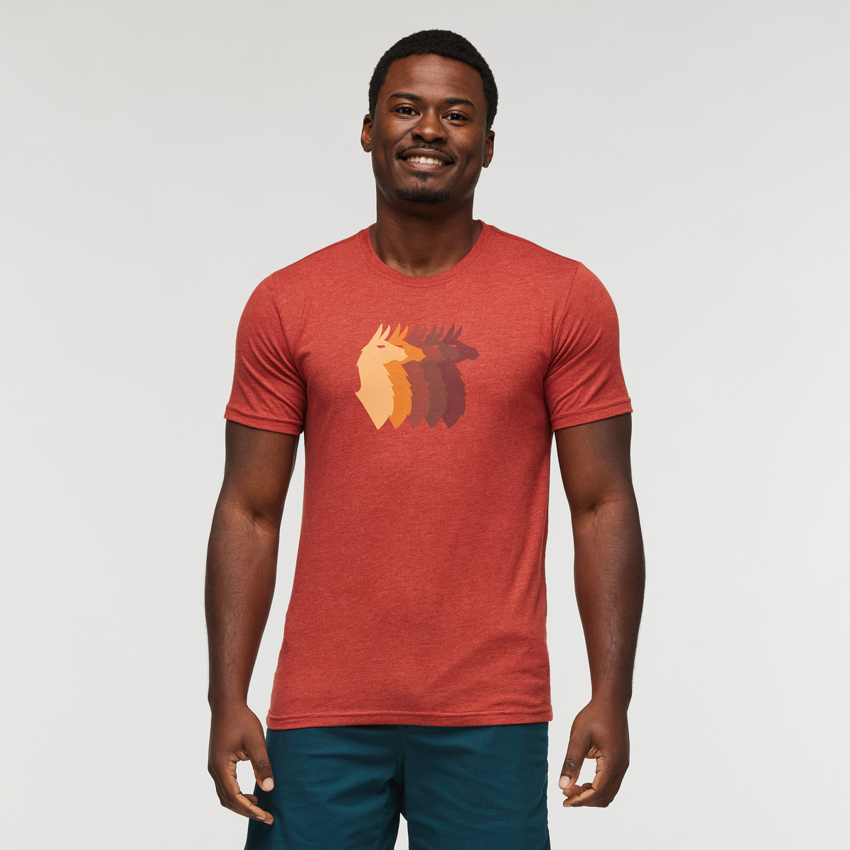 Llama Sequence T Shirt Men's - Image 12