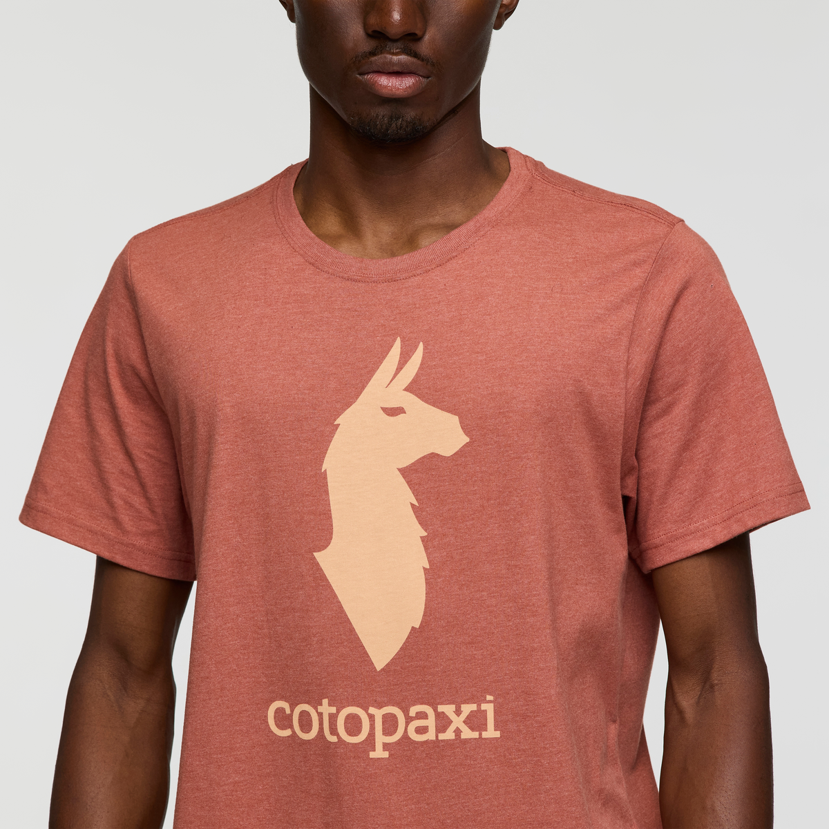 Cotopaxi Llama T Shirt Men's - Image 13