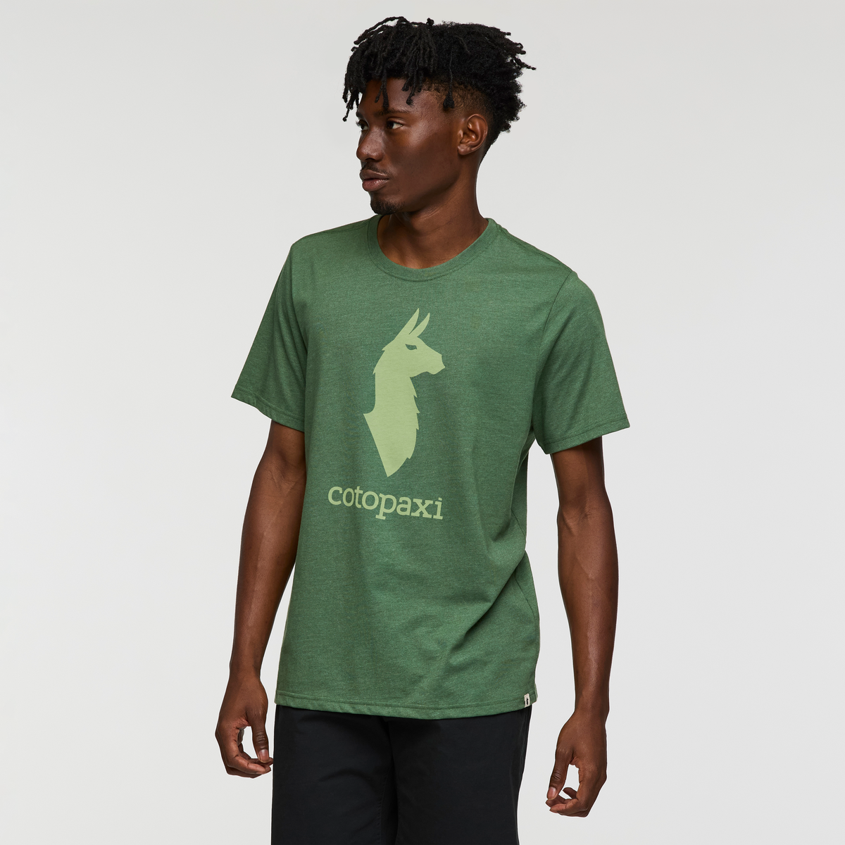 Cotopaxi Llama T Shirt Men's - Image 21