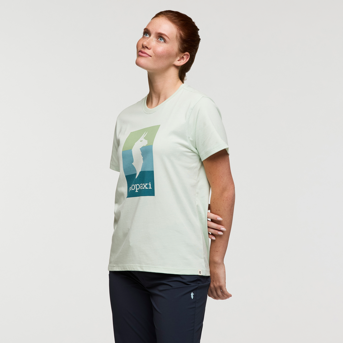 Llama Block T Shirt Women's - Image 11