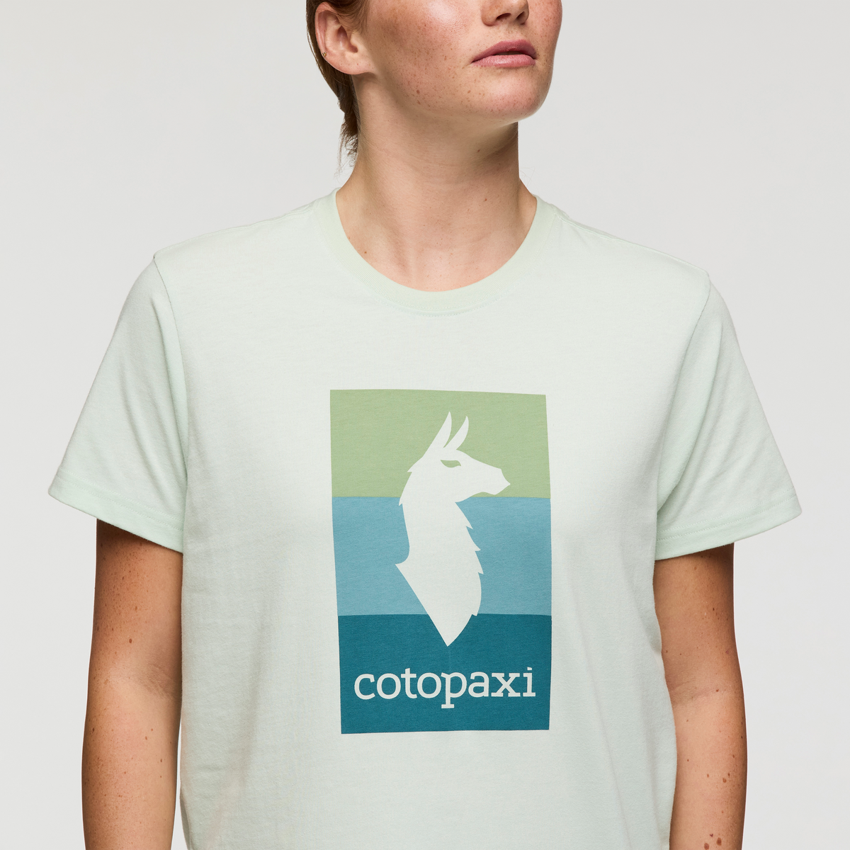 Llama Block T Shirt Women's - Image 15